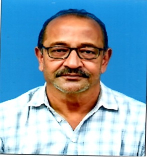 Shri Girish Surana